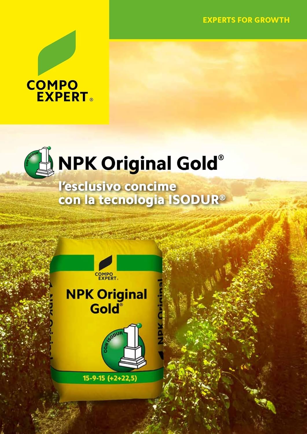NPK ORIGINAL GOLD 15-9-15(+2+20) KG25