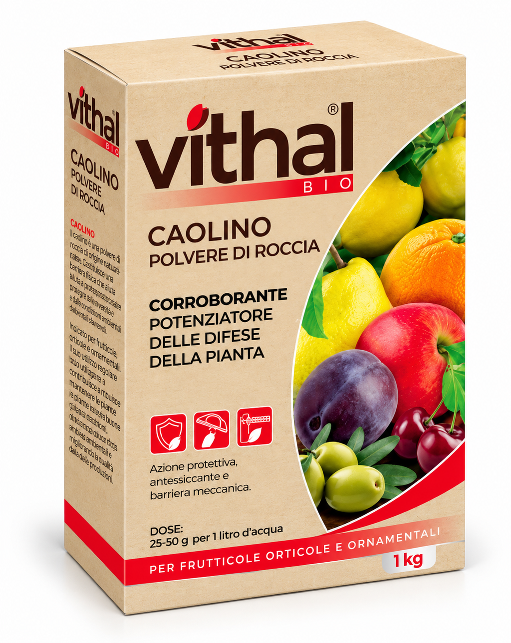 CAOLINO POLVERE DI ROCCIA 1KG