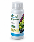 VITHAL BORDOFLOW 800ML